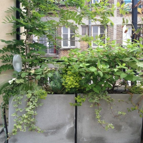 Balcoon paysagiste balcon paris 12 bac fibre ciment ecran vegetal paysagiste