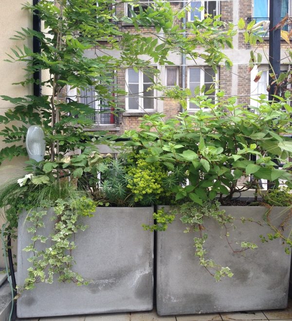 Balcoon paysagiste balcon paris 12 bac fibre ciment ecran vegetal paysagiste