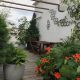 Balcoon terrasse paysagiste ivry coin cafe