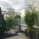 Balcoon terrasse paysagiste ivry pas—japonais