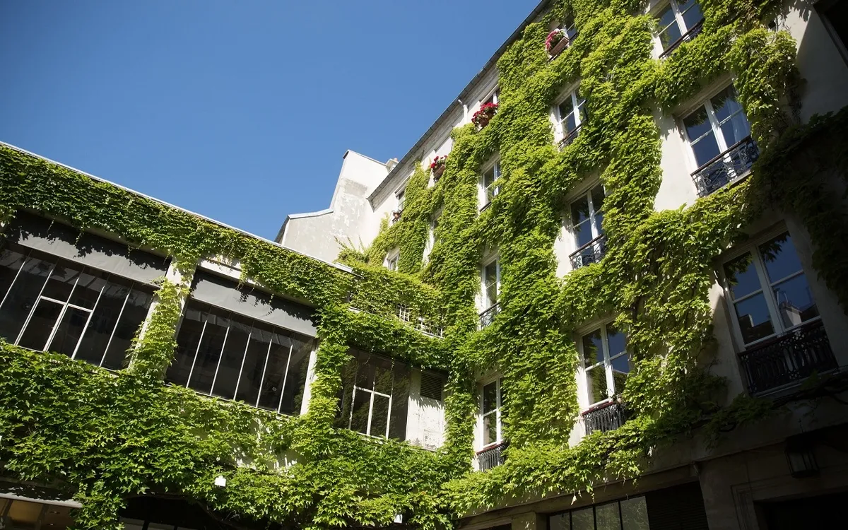 Coproasis : réinventer et financer la végétalisation des cours d’immeubles parisiens 1 Coproasis