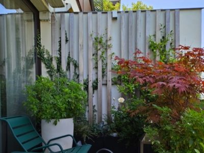 Aménagement terrasse et balcon végétal matière vivante