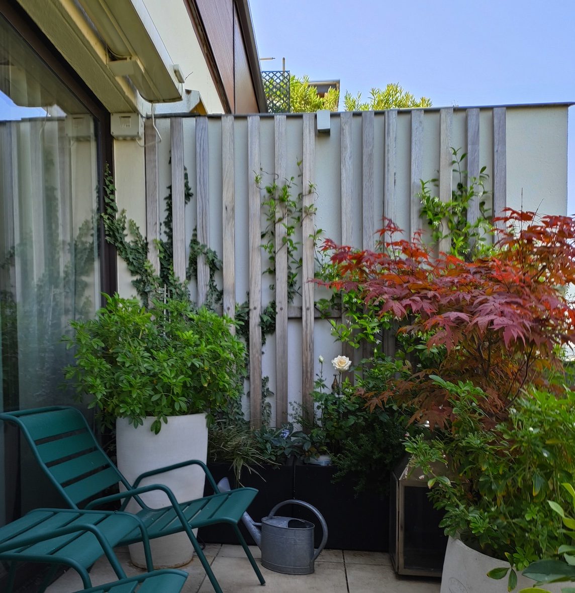 Aménagement terrasse et balcon végétal matière vivante