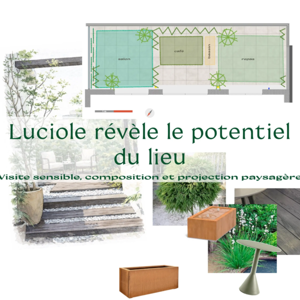 02 pollinisation 02 pollinisation