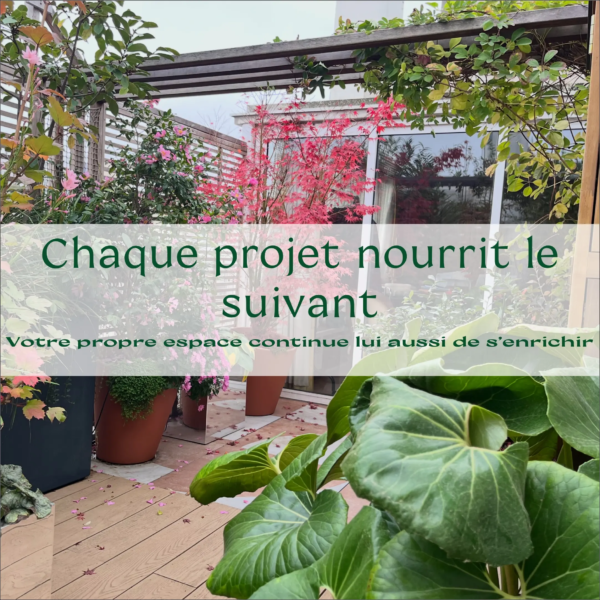 04 pollinisation 04 pollinisation